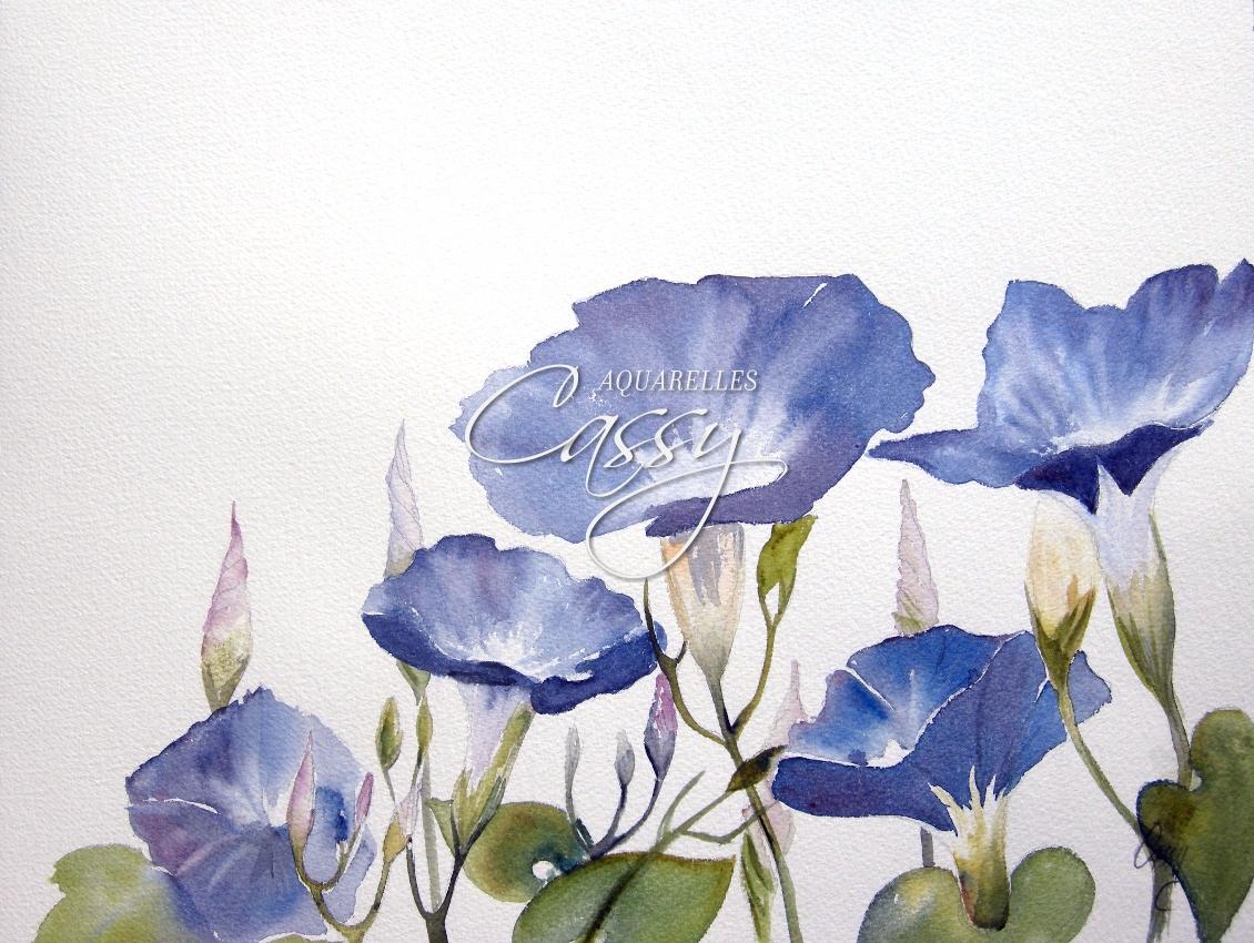 Liserons Bleu 2017 - 31 cm X 41 cm